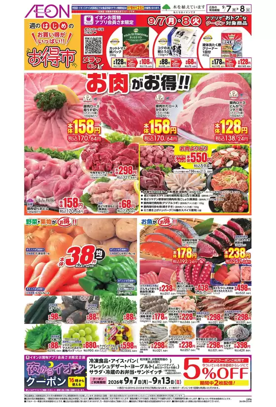 main_flyer image