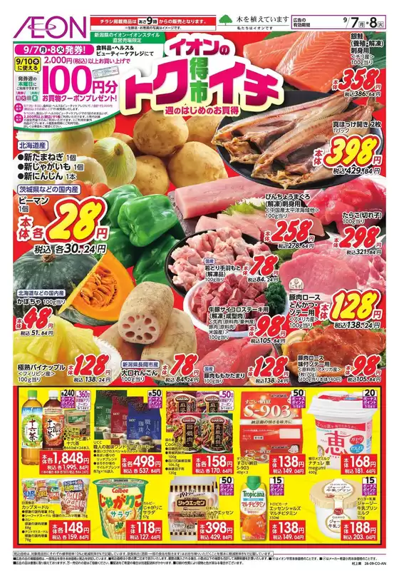 胎内市でのイオンのカタログ | トップディールと割引 | 2026-09-06T00:00:00.000Z - 2026-09-08T00:00:00.000Z