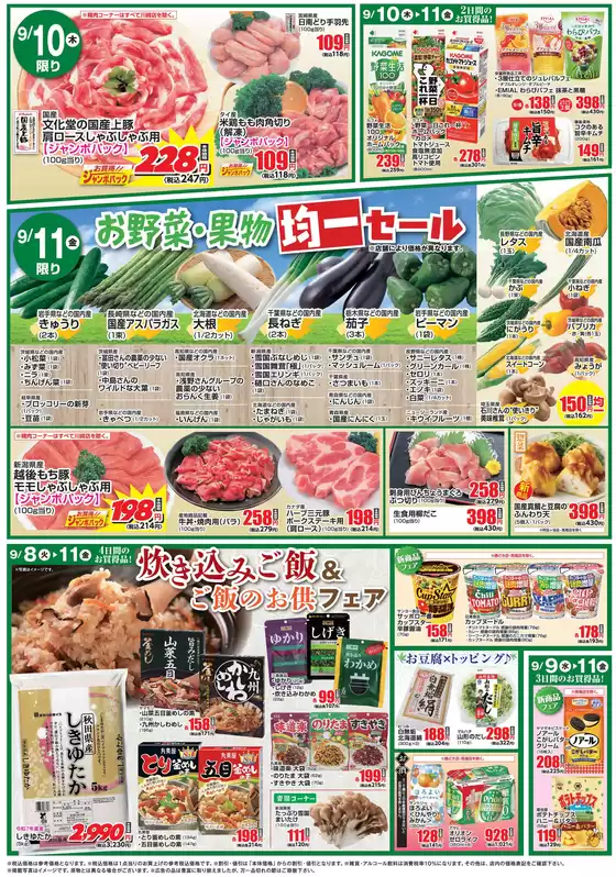 main_flyer image