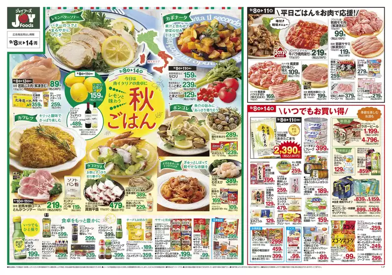 main_flyer image