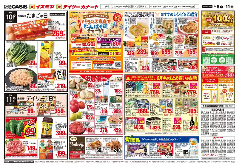 main_flyer image
