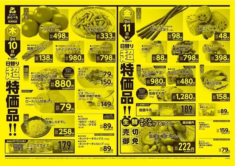 main_flyer image