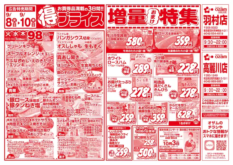 main_flyer image