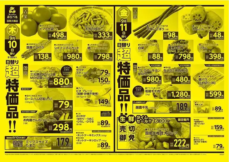 main_flyer image
