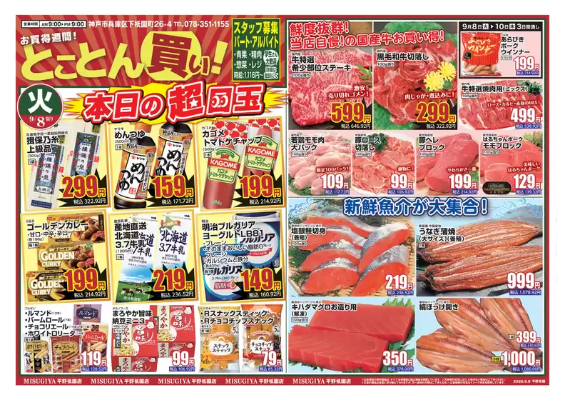 main_flyer image