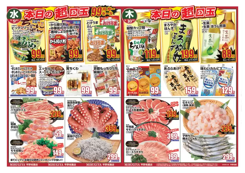 main_flyer image