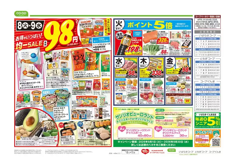 main_flyer image