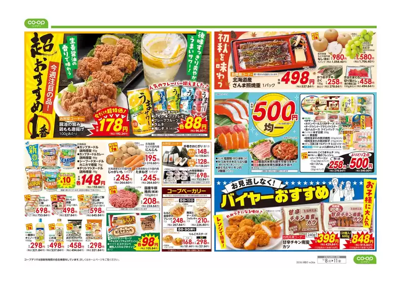 main_flyer image