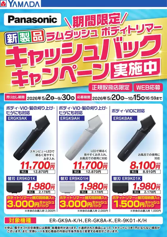 main_flyer image