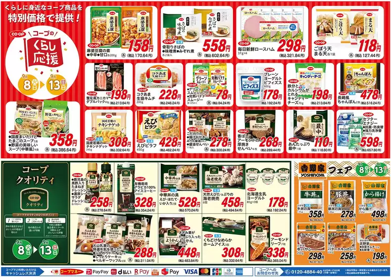 main_flyer image