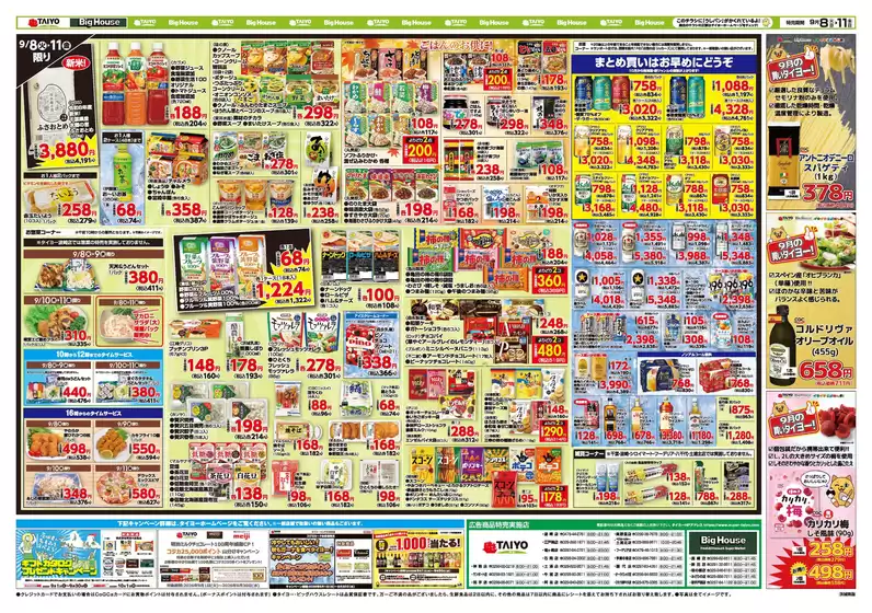 main_flyer image