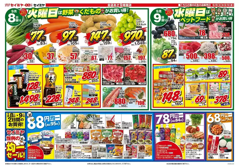 セイミヤのカタログ | 掘り出し物ハンターのためのオファー | 2026-09-08T00:00:00.000Z - 2026-09-09T00:00:00.000Z