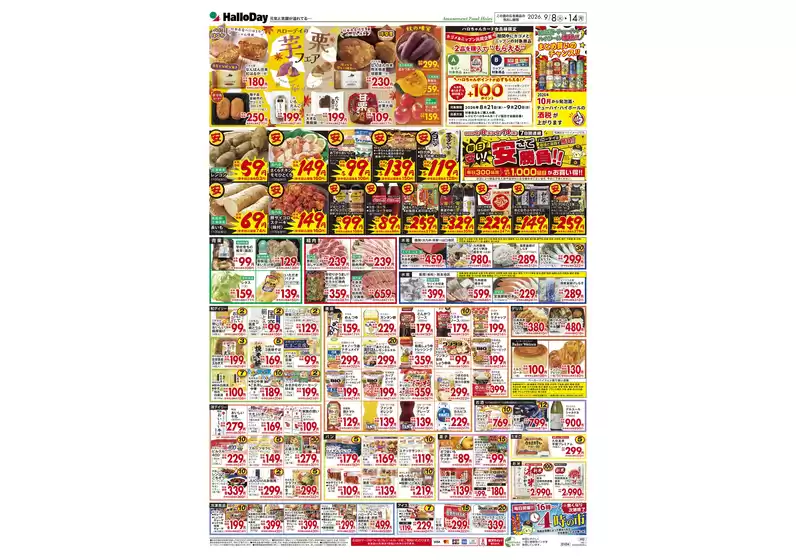 main_flyer image