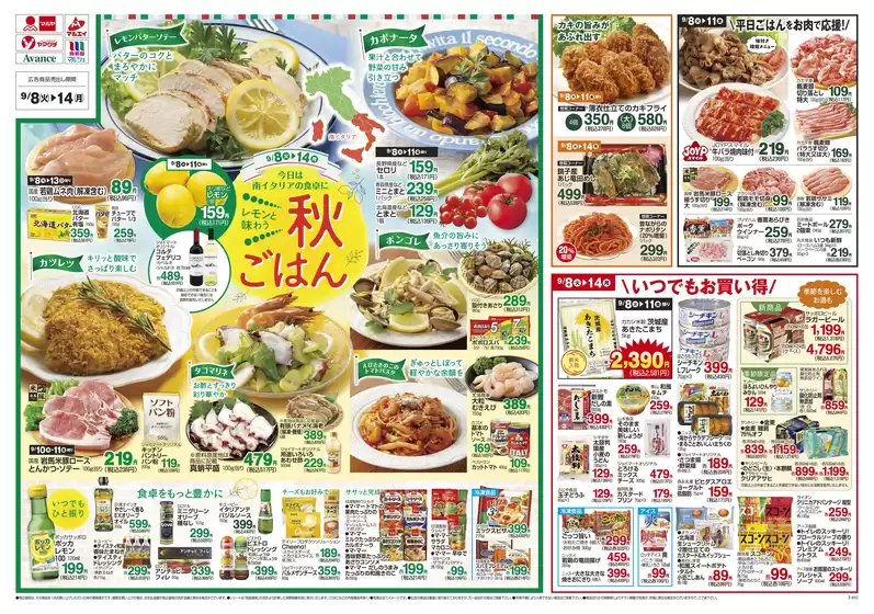 main_flyer image