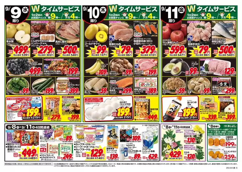 main_flyer image