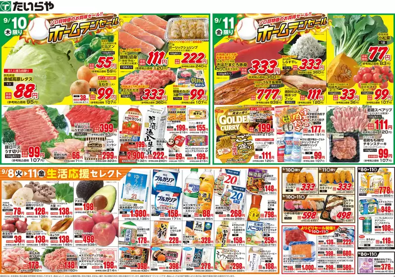 main_flyer image