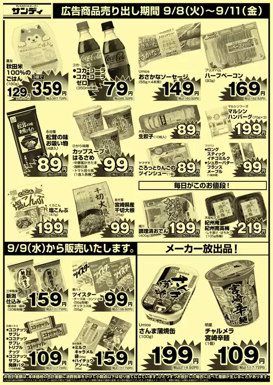 main_flyer image