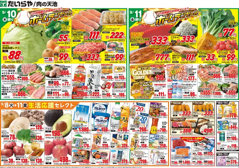 main_flyer image