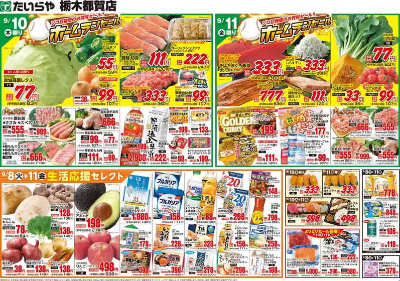 main_flyer image