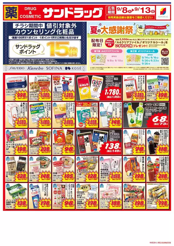 main_flyer image