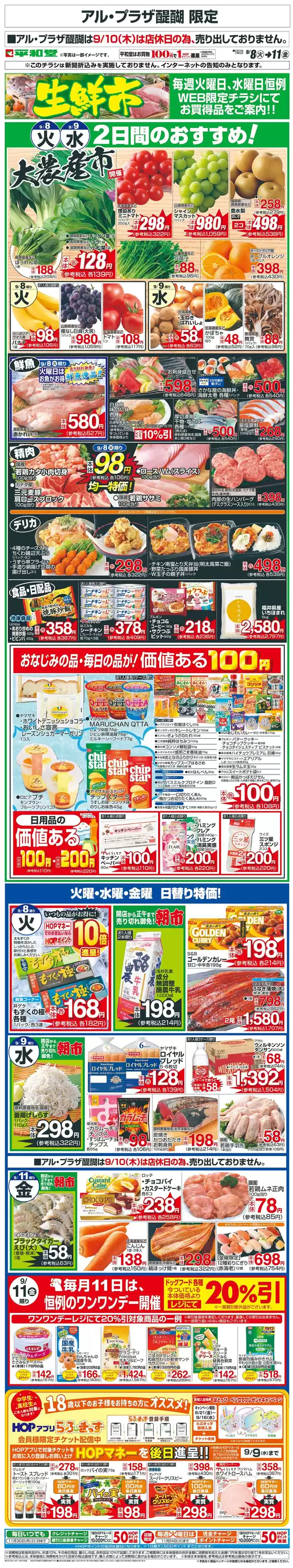 main_flyer image