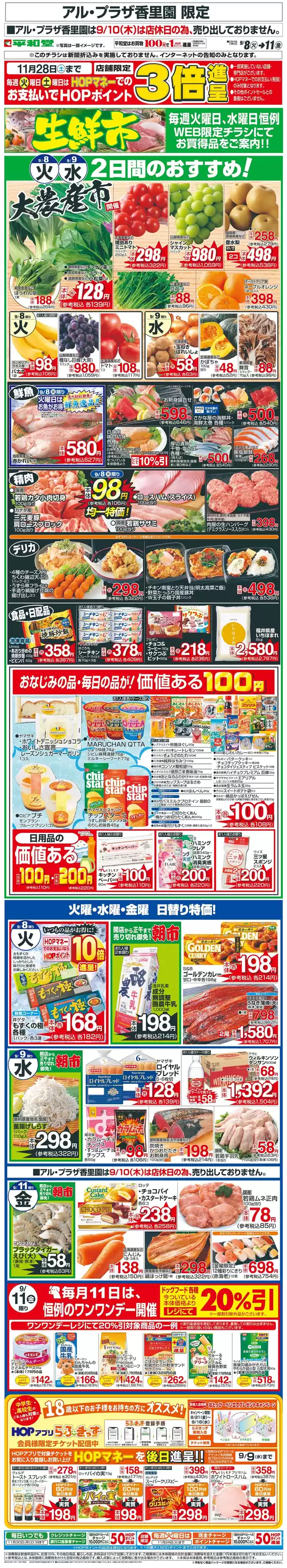 main_flyer image