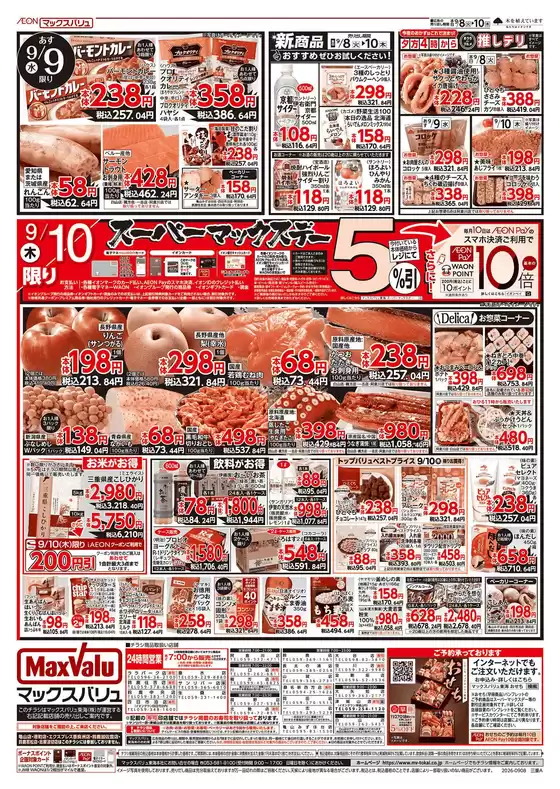 main_flyer image