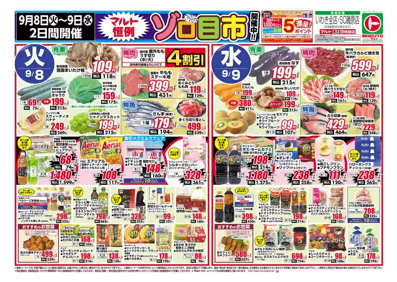 main_flyer image