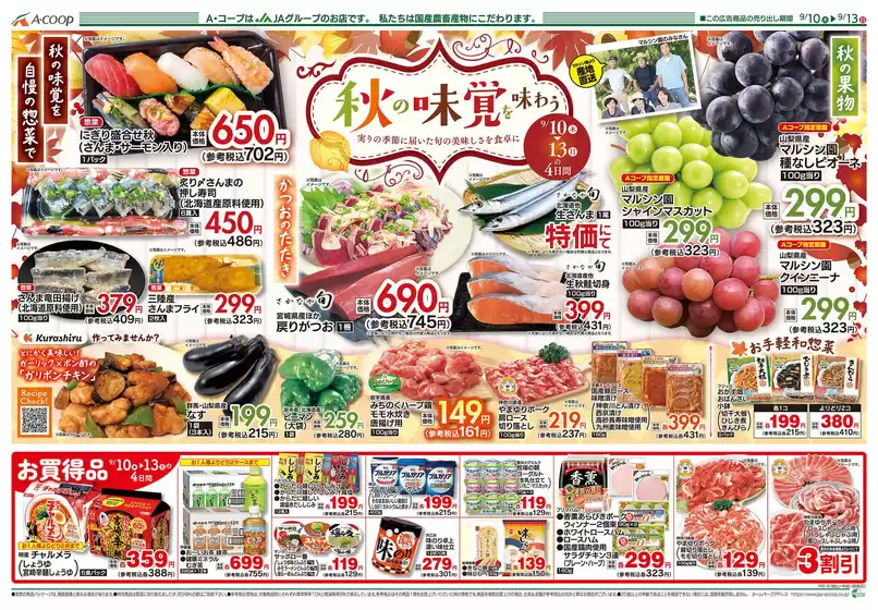 main_flyer image