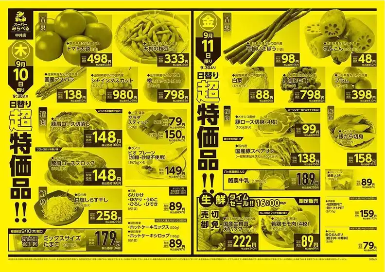 main_flyer image