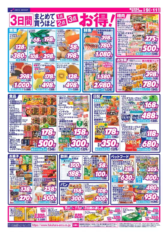 main_flyer image