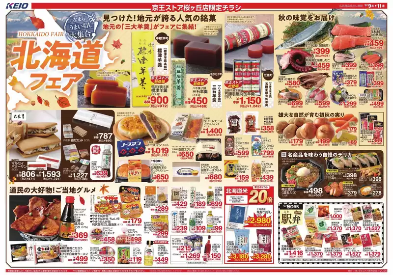 main_flyer image