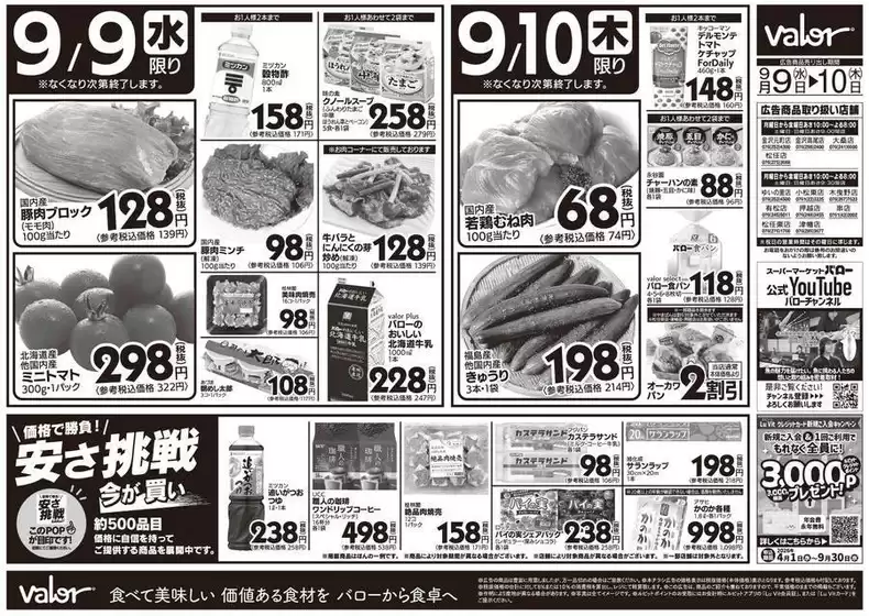 main_flyer image