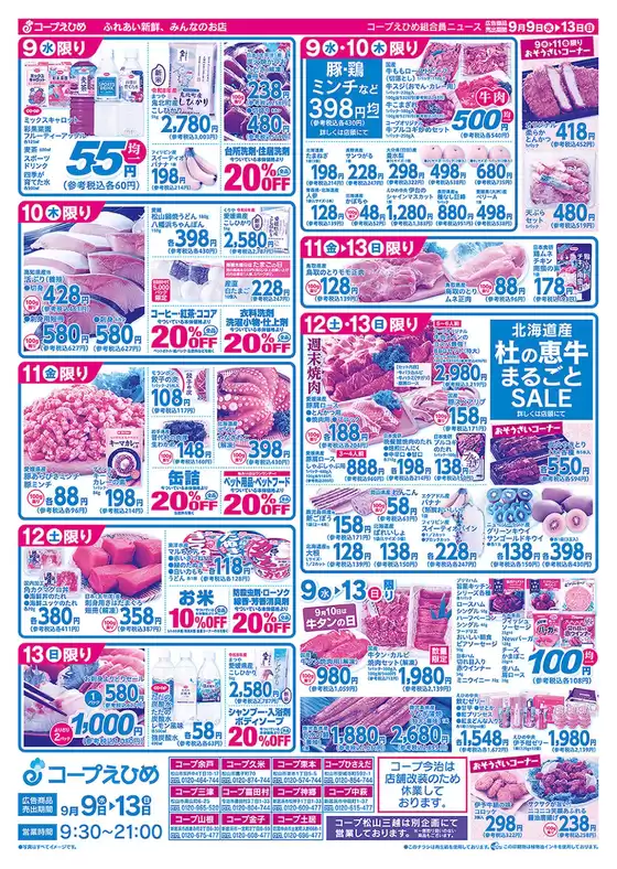 main_flyer image