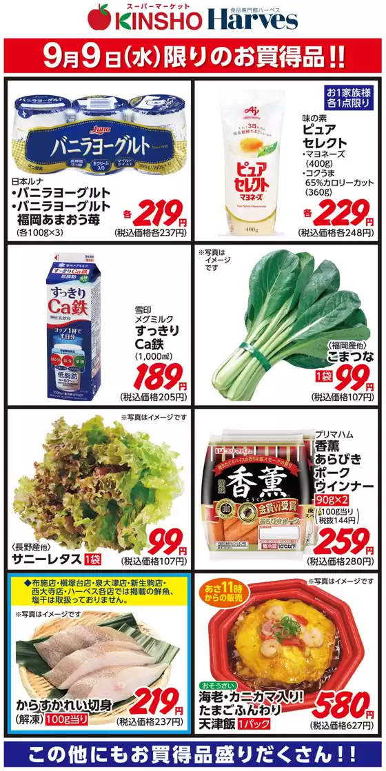 main_flyer image