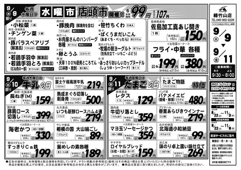 main_flyer image