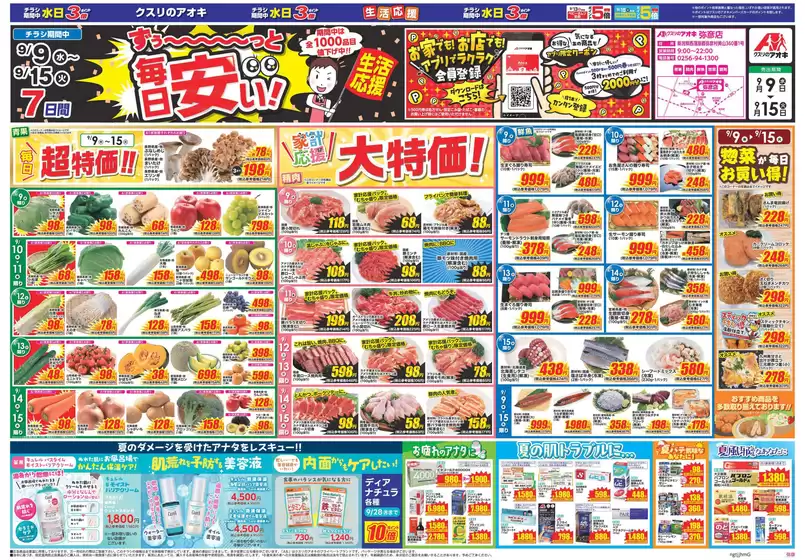 main_flyer image