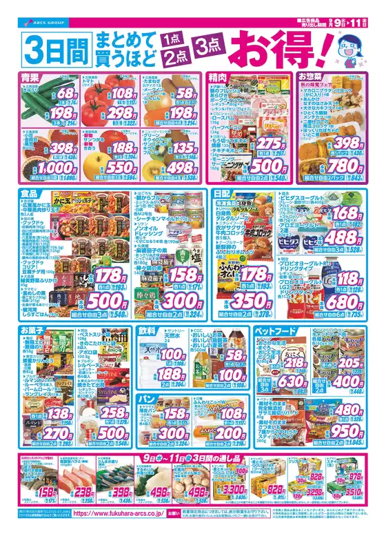 main_flyer image