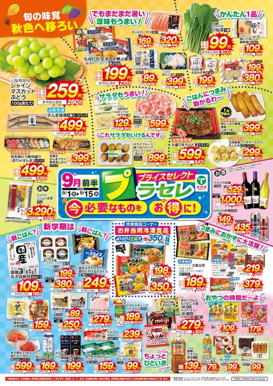 main_flyer image