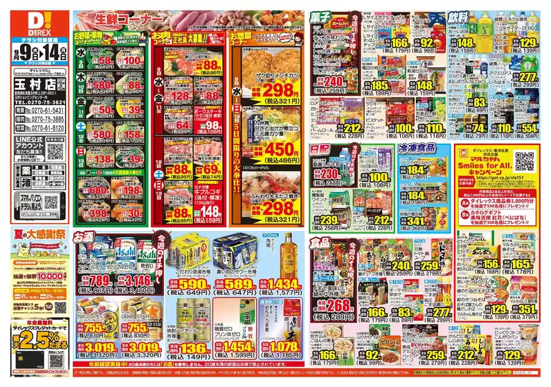 main_flyer image