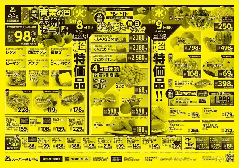 main_flyer image