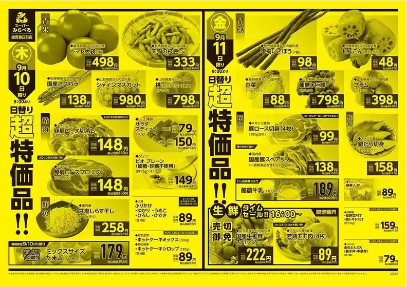 main_flyer image