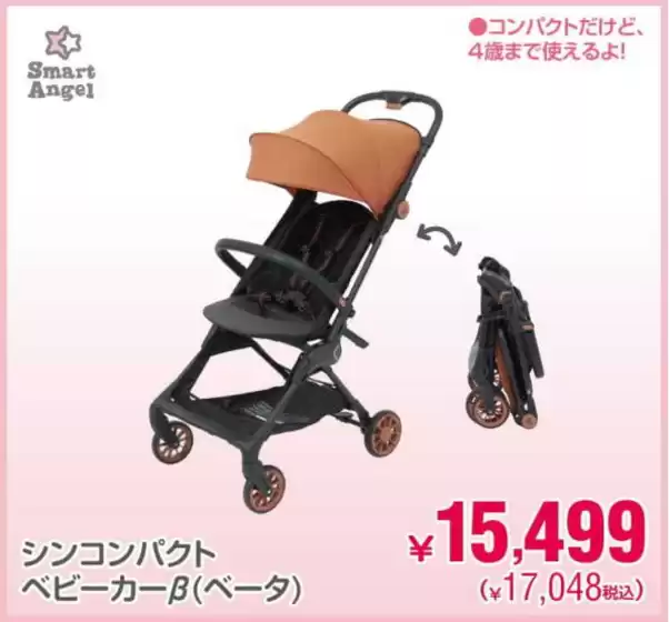 main_flyer image