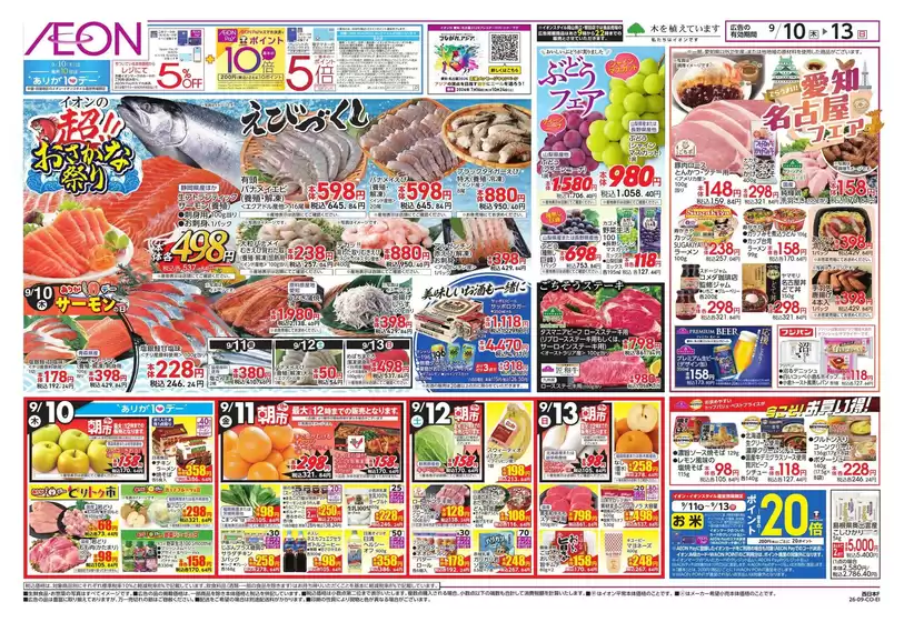main_flyer image