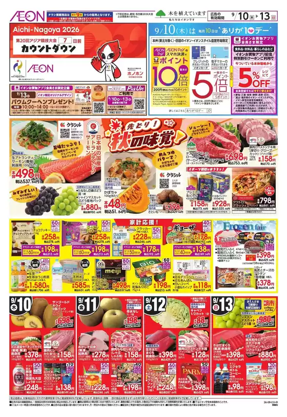 main_flyer image