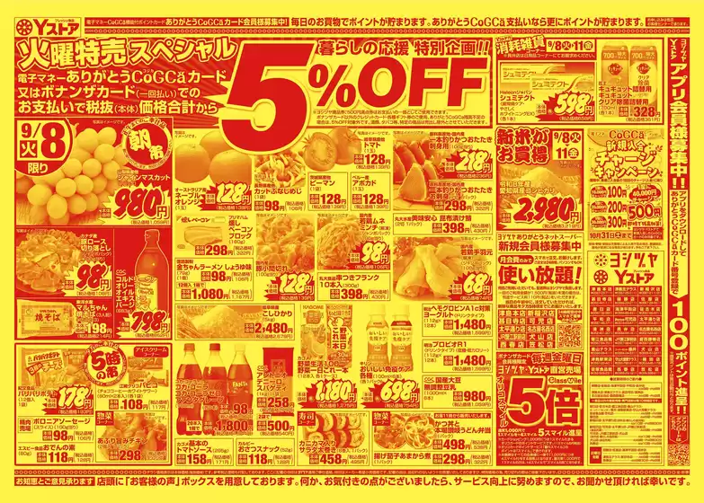 main_flyer image