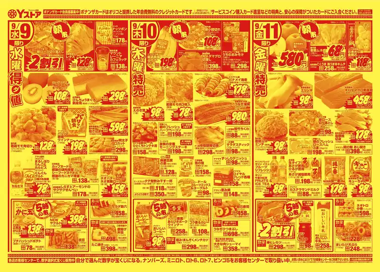 main_flyer image