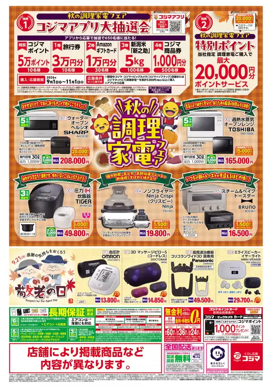 main_flyer image