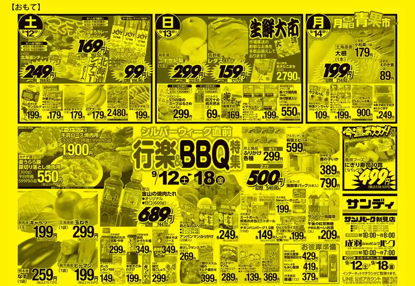 main_flyer image