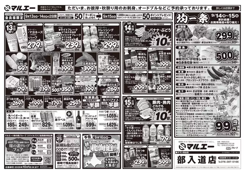 main_flyer image
